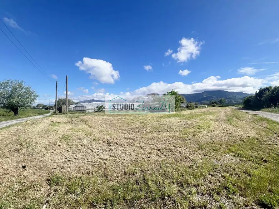 Immagine 14 di Terreno agricolo in vendita  in Via del Gallino a Camaiore