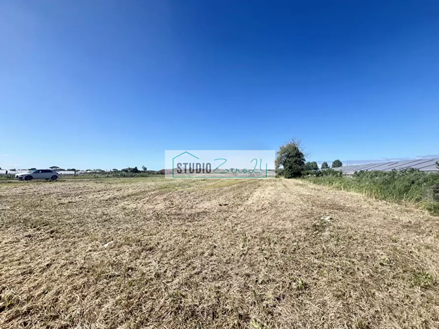 Immagine 18 di Terreno agricolo in vendita  in Via del Gallino a Camaiore