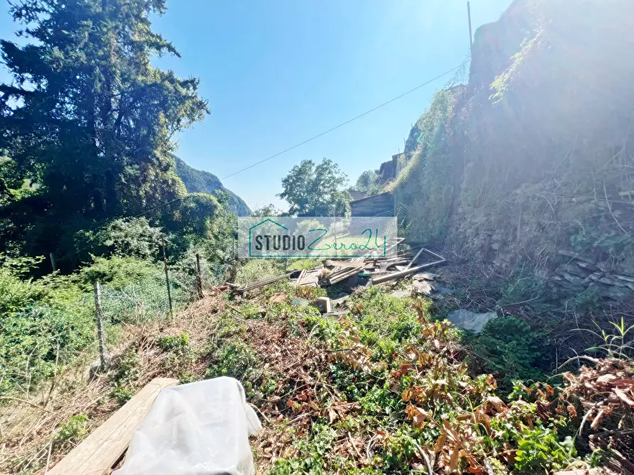 Immagine 23 di Casa semindipendente in vendita  in Via dei Tardoni a Camaiore