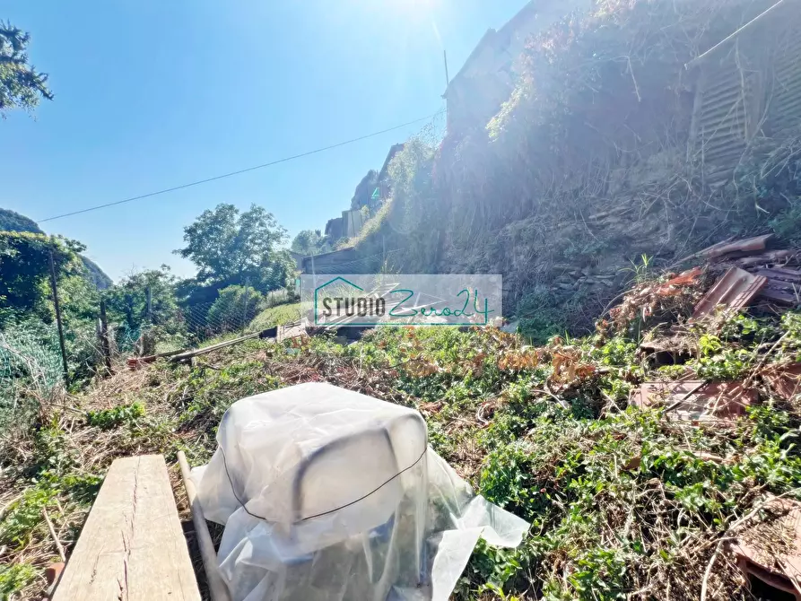 Immagine 24 di Casa semindipendente in vendita  in Via dei Tardoni a Camaiore