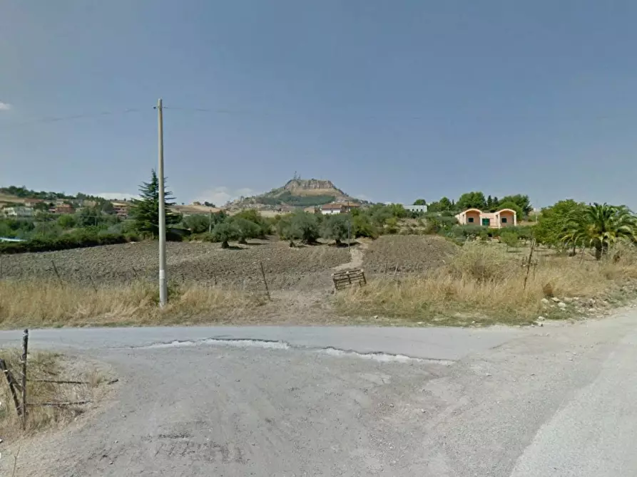 Immagine 3 di Terreno agricolo in vendita  a Enna
