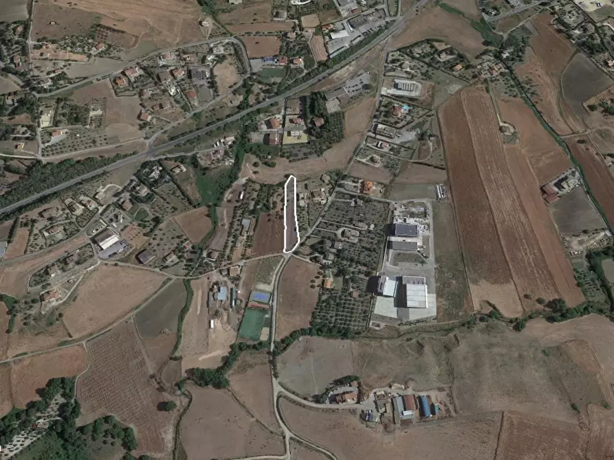 Immagine 4 di Terreno agricolo in vendita  a Enna