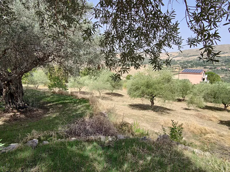 Immagine 2 di Rustico / casale in vendita  in CONTRADA TORRE a Enna