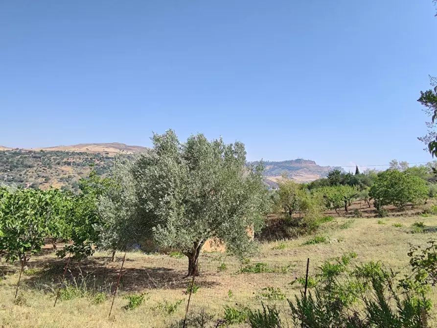 Immagine 3 di Rustico / casale in vendita  in CONTRADA TORRE a Enna