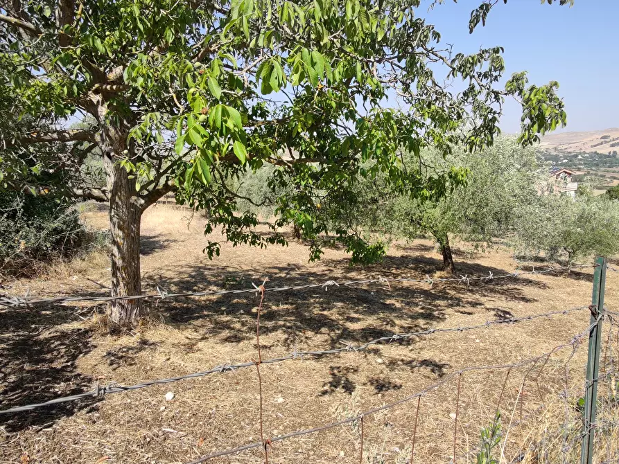 Immagine 5 di Rustico / casale in vendita  in CONTRADA TORRE a Enna