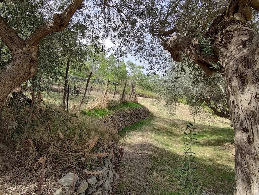 Immagine 6 di Rustico / casale in vendita  in CONTRADA TORRE a Enna