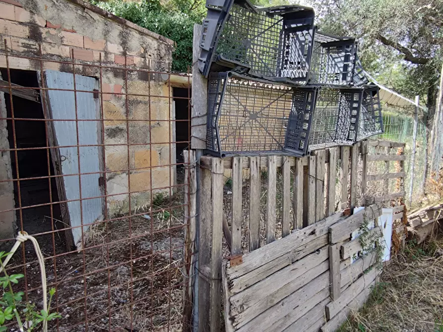 Immagine 9 di Rustico / casale in vendita  in CONTRADA TORRE a Enna