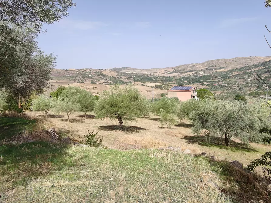 Immagine 11 di Rustico / casale in vendita  in CONTRADA TORRE a Enna