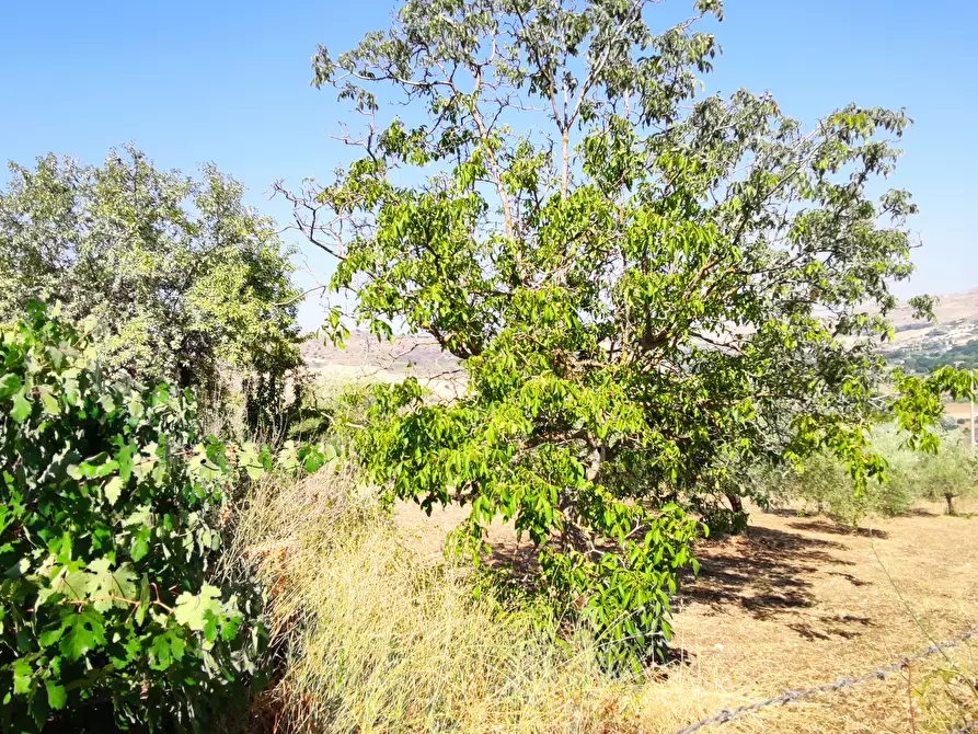 Immagine 12 di Rustico / casale in vendita  in CONTRADA TORRE a Enna