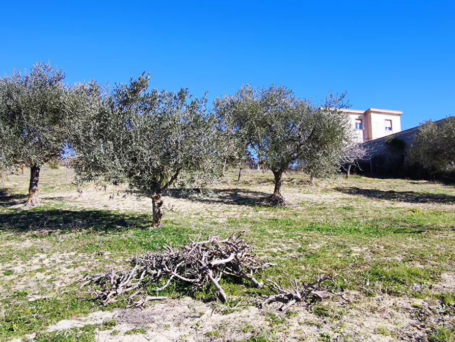 Immagine 15 di Villa in vendita  in CONTRADA RISICALLA' a Enna