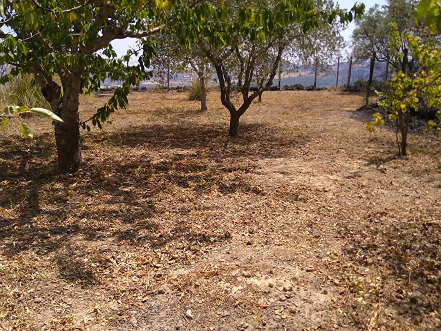 Immagine 13 di Villa in vendita  in CONTRADA POLLICARINI a Enna