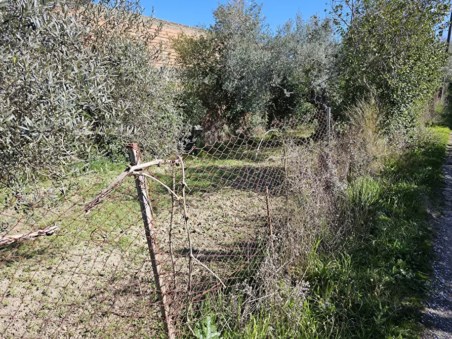 Immagine 6 di Rustico / casale in vendita  in CONTRADA TORRE a Enna