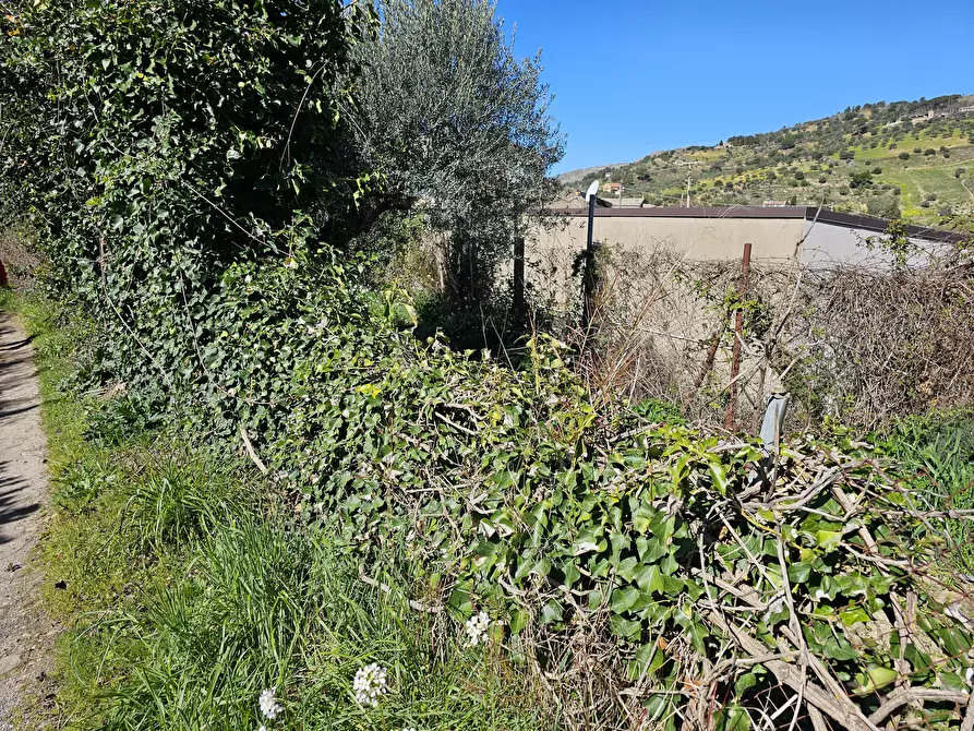 Immagine 7 di Rustico / casale in vendita  in CONTRADA TORRE a Enna