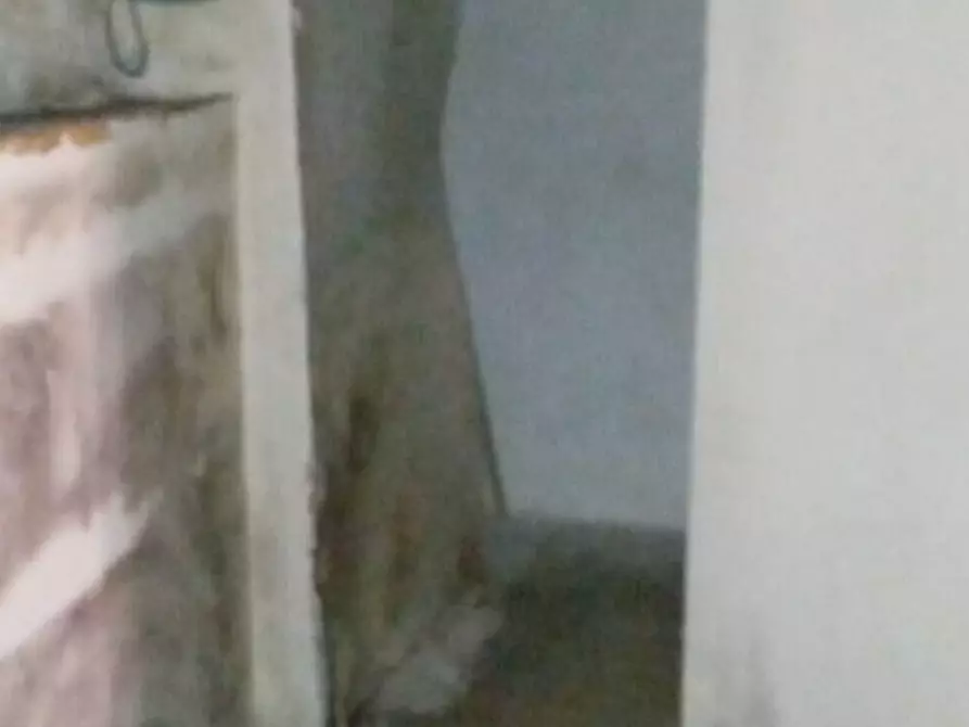 Immagine 9 di Negozio in vendita  in VIA ROMA a Enna