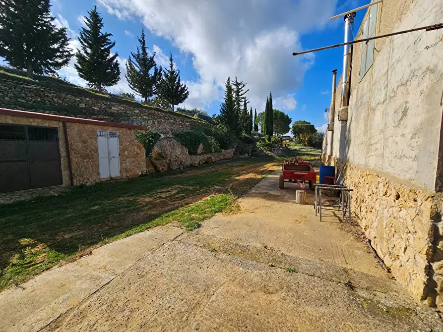 Immagine 20 di Villa in vendita  in contrada bubutello a Barrafranca