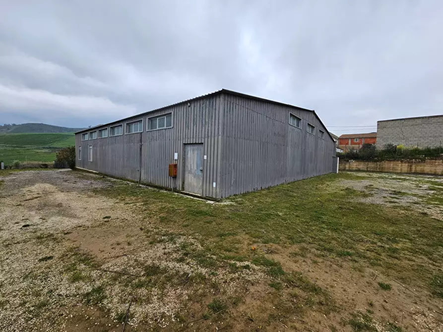 Immagine 2 di Capannone industriale in vendita  in CONTRADA RAMATA a Piazza Armerina
