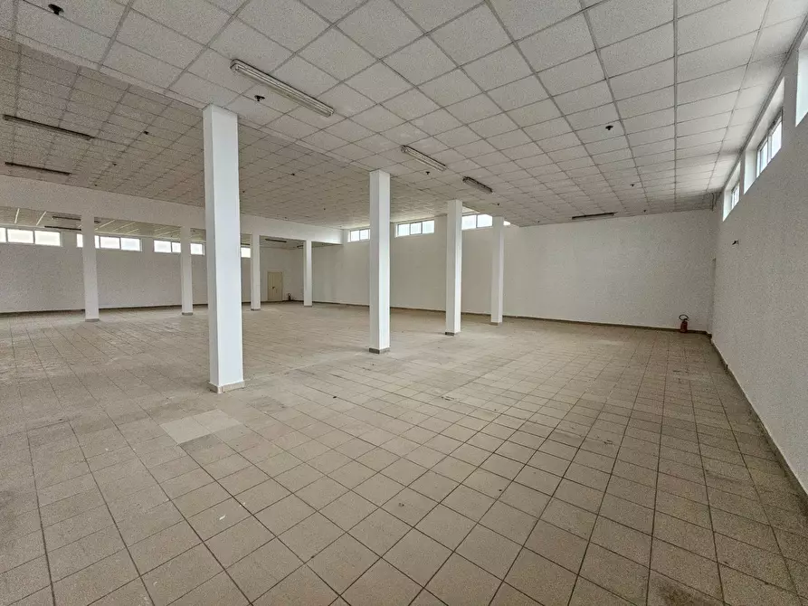Immagine 8 di Capannone industriale in vendita  in CONTRADA RAMATA a Piazza Armerina