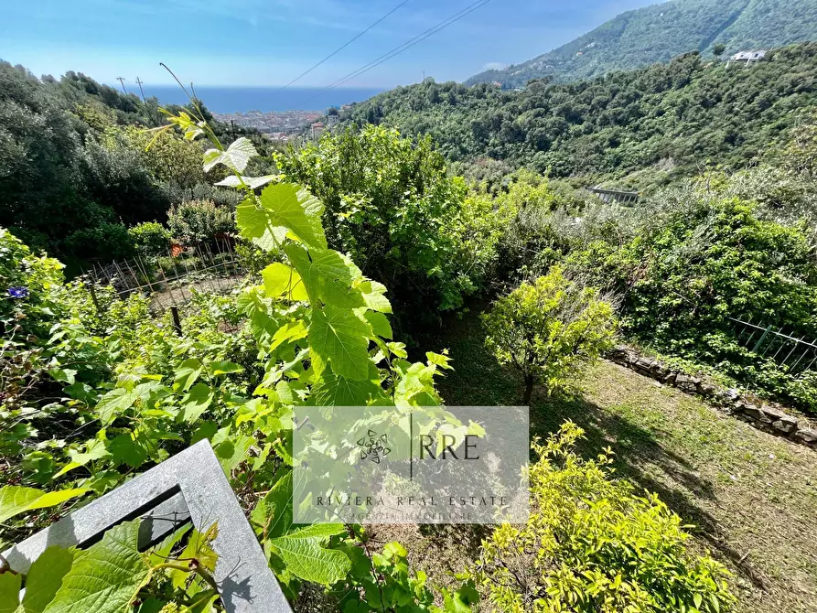 Immagine 11 di Appartamento in vendita  in via Valbona a Alassio