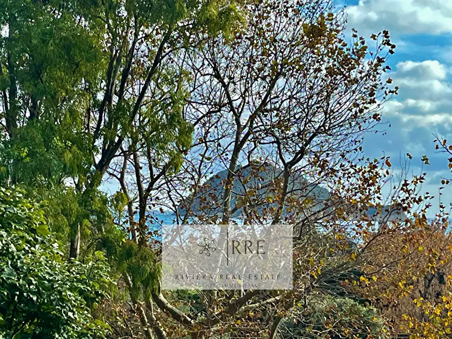 Immagine 5 di Appartamento in vendita  in Strada Statale a Albenga