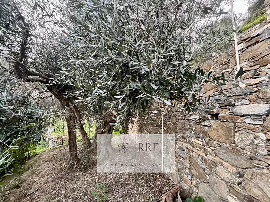 Immagine 27 di Attico in vendita  in via Colla Micheri a Laigueglia