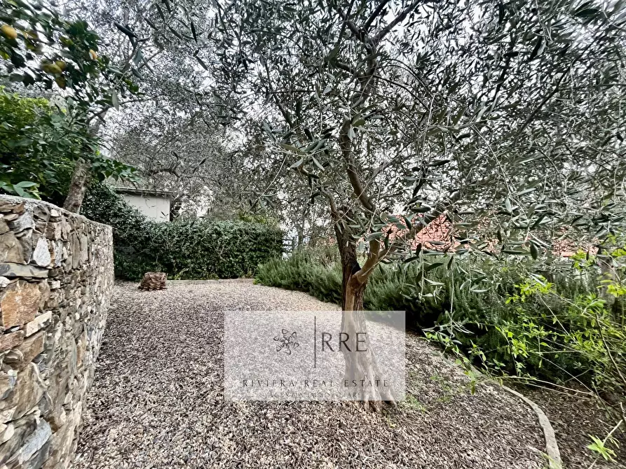 Immagine 25 di Attico in vendita  in via Colla Micheri a Laigueglia