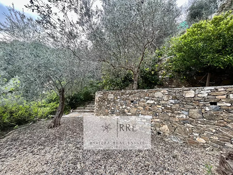 Immagine 24 di Attico in vendita  in via Colla Micheri a Laigueglia