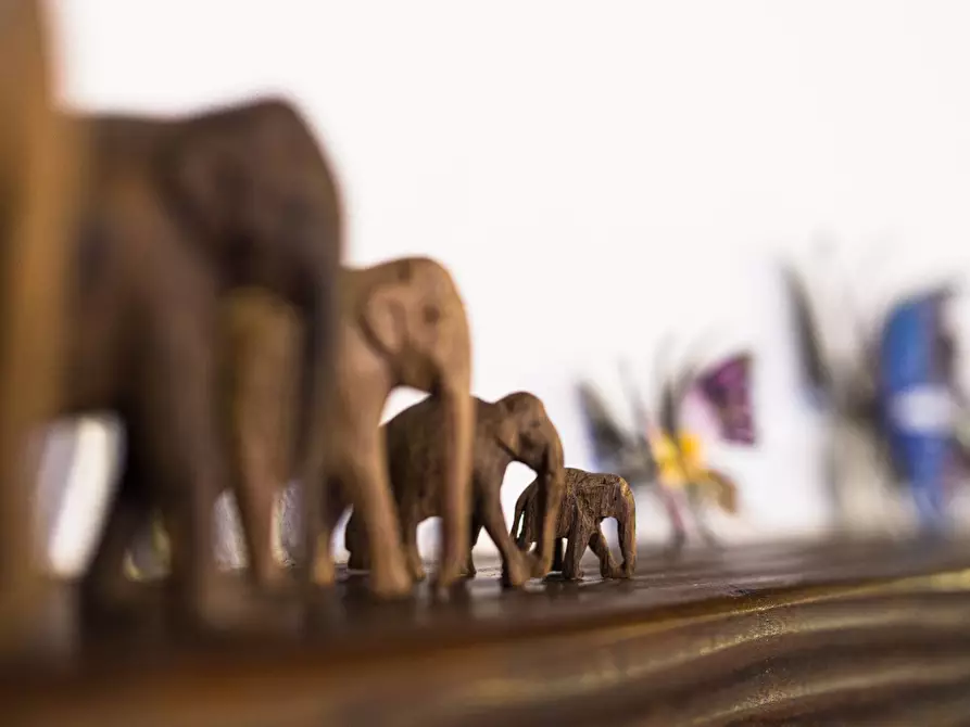 Immagine 7 di Casa indipendente in vendita  in Strada di casa al bosco a Siena