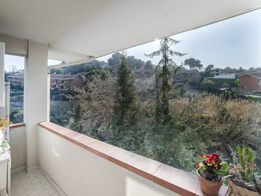 Immagine 29 di Multiproprietà in vendita  in Via Luigi Polacchi a Pescara