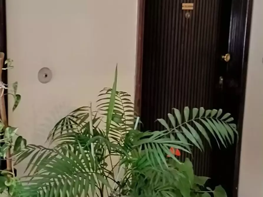 Immagine 11 di Appartamento in vendita  in Luigi Cadorna a Busto Arsizio