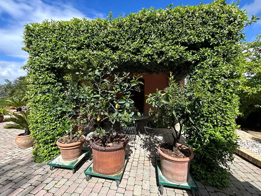 Immagine 6 di Villa in vendita  in via Licini a Chieti