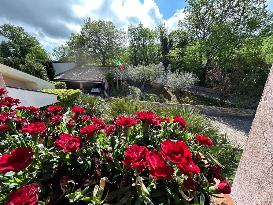 Immagine 23 di Villa in vendita  in via Licini a Chieti