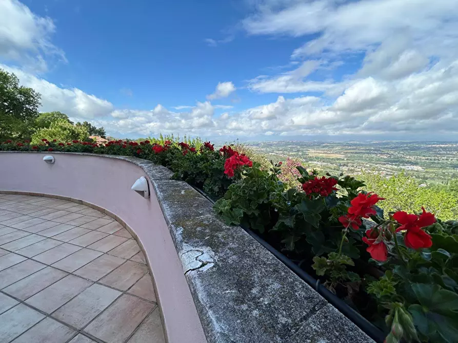 Immagine 28 di Villa in vendita  in via Licini a Chieti