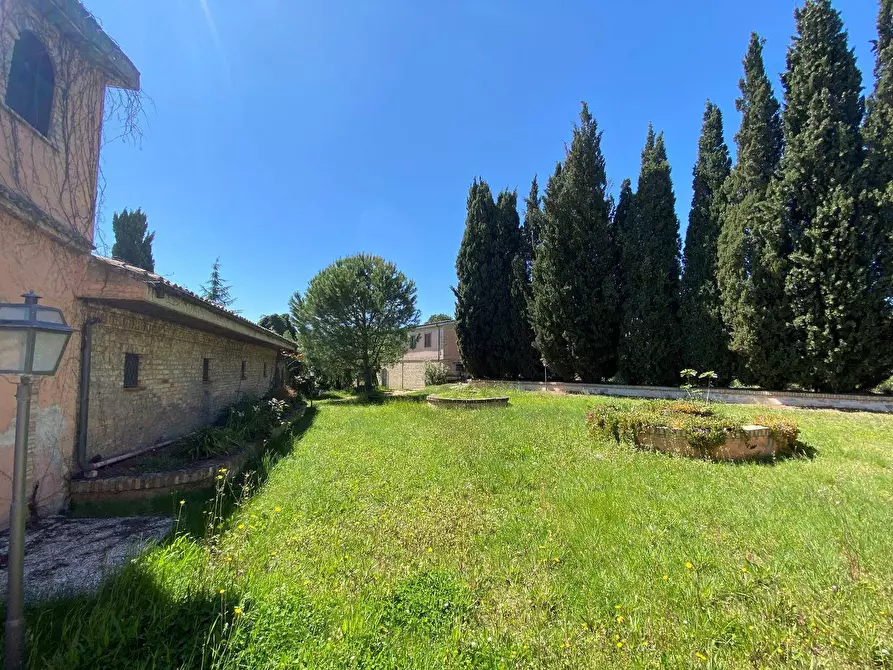 Immagine 6 di Agriturismo in vendita  a Loreto Aprutino