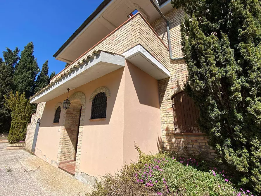 Immagine 3 di Agriturismo in vendita  a Loreto Aprutino