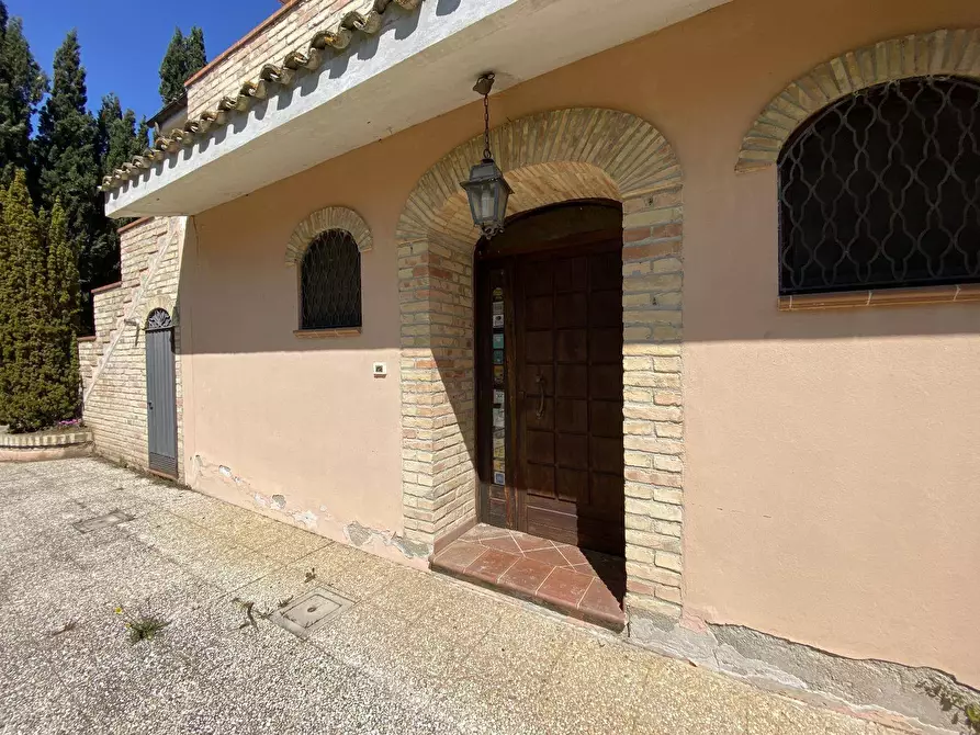Immagine 18 di Agriturismo in vendita  a Loreto Aprutino