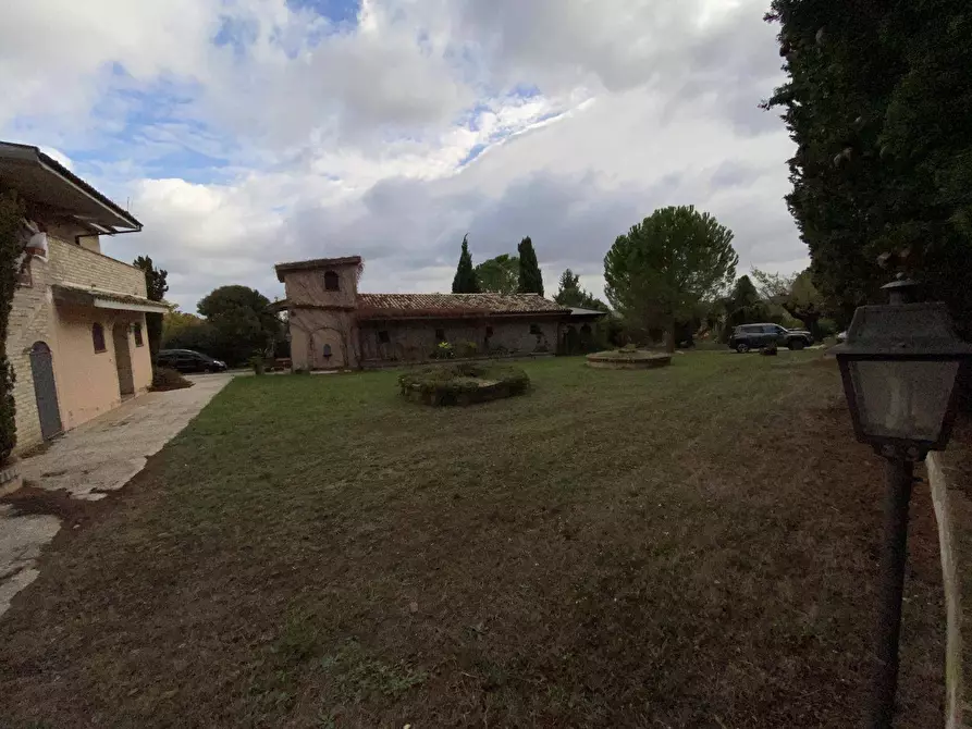 Immagine 19 di Agriturismo in vendita  a Loreto Aprutino