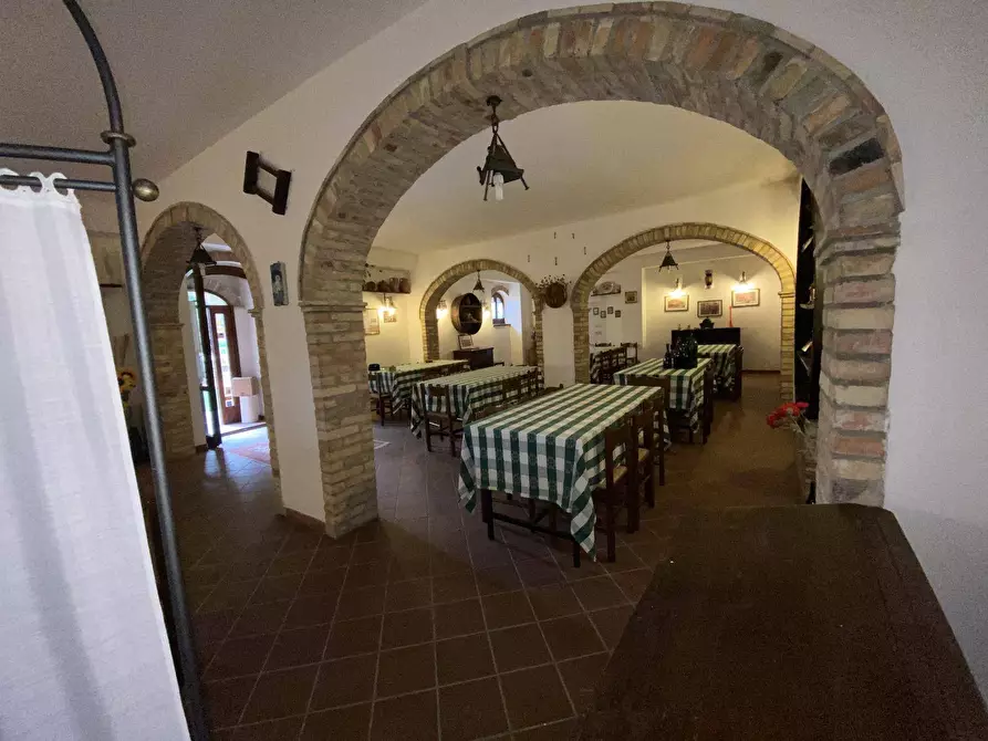 Immagine 7 di Agriturismo in vendita  a Loreto Aprutino
