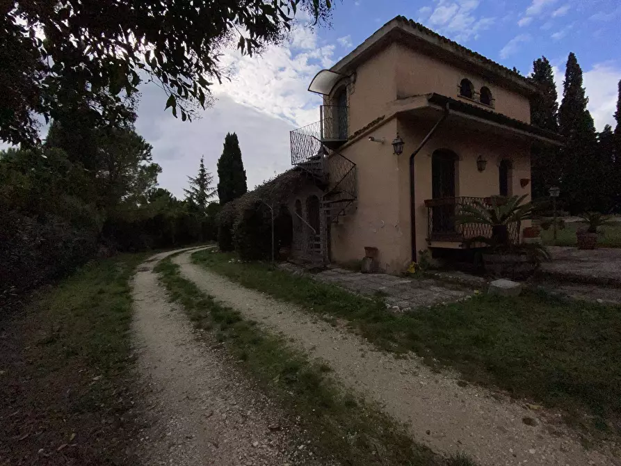 Immagine 20 di Agriturismo in vendita  a Loreto Aprutino