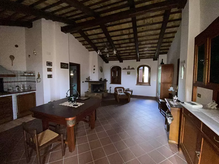 Immagine 12 di Agriturismo in vendita  a Loreto Aprutino