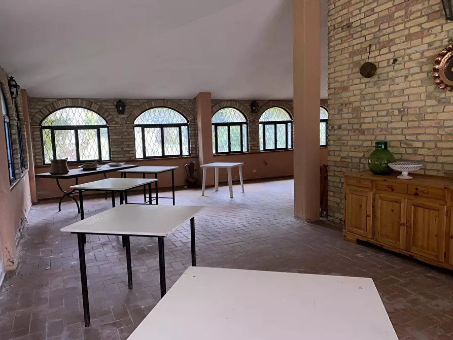 Immagine 13 di Agriturismo in vendita  a Loreto Aprutino