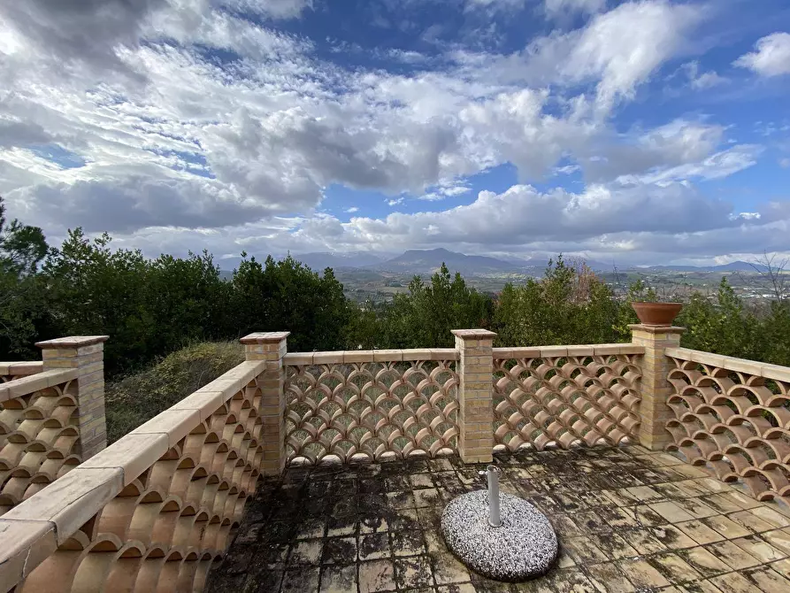 Immagine 21 di Agriturismo in vendita  a Loreto Aprutino