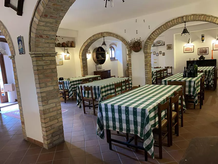 Immagine 9 di Agriturismo in vendita  a Loreto Aprutino