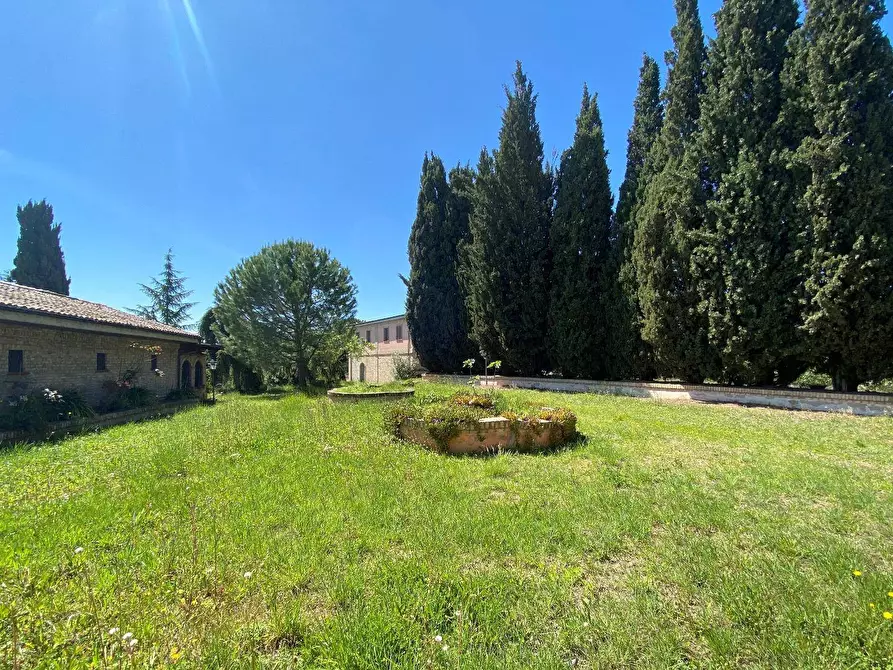 Immagine 22 di Agriturismo in vendita  a Loreto Aprutino