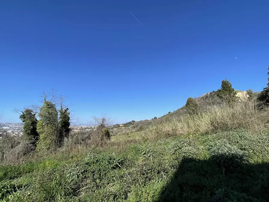 Immagine 4 di Terreno residenziale in vendita  a San Giovanni Teatino