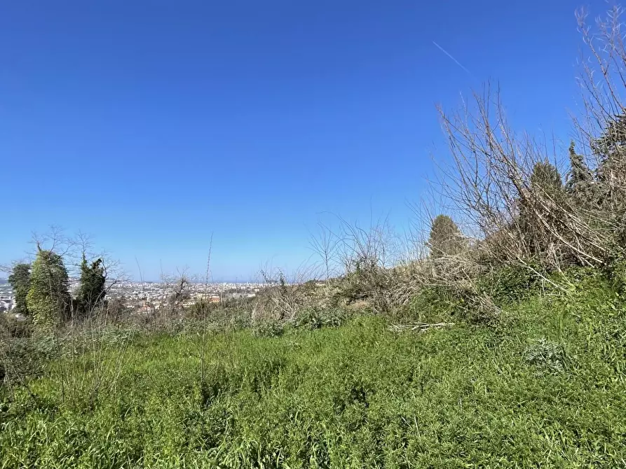 Immagine 5 di Terreno residenziale in vendita  a San Giovanni Teatino