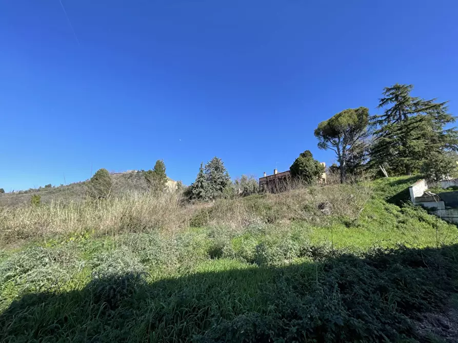 Immagine 6 di Terreno residenziale in vendita  a San Giovanni Teatino