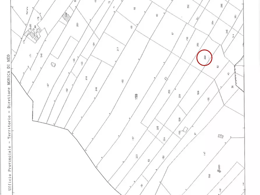 Immagine 2 di Terreno agricolo in vendita  a Loreto Aprutino