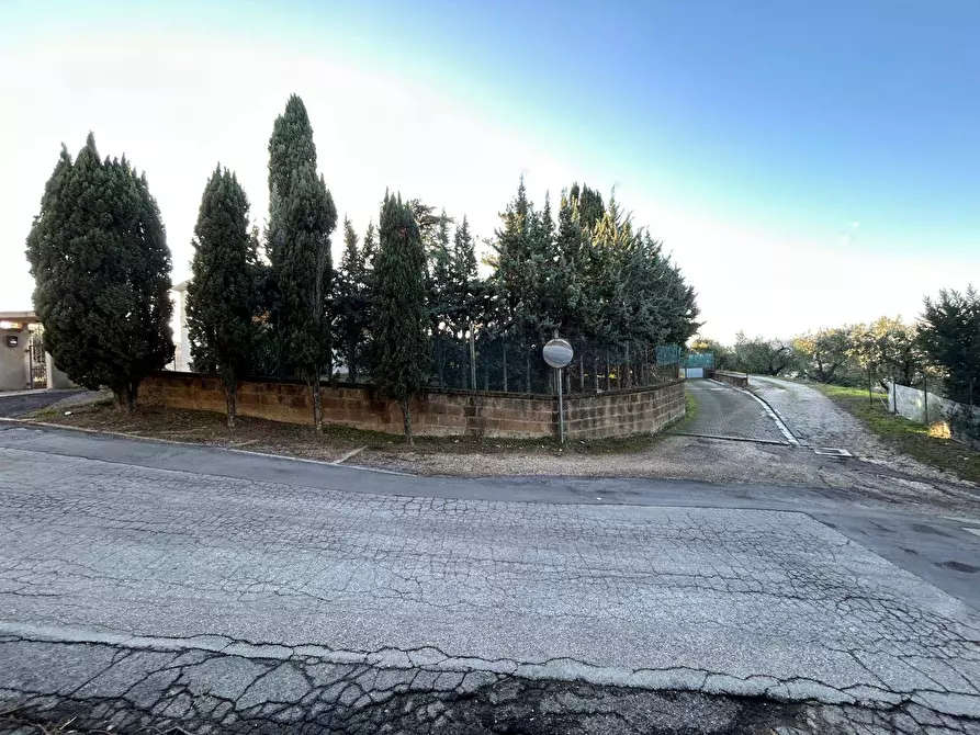 Immagine 10 di Casa indipendente in vendita  in Strada Comunale della Fontana a Montesilvano