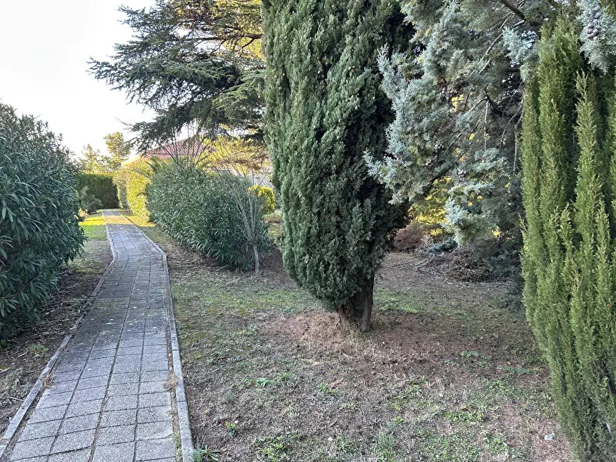 Immagine 15 di Casa indipendente in vendita  in Strada Comunale della Fontana a Montesilvano