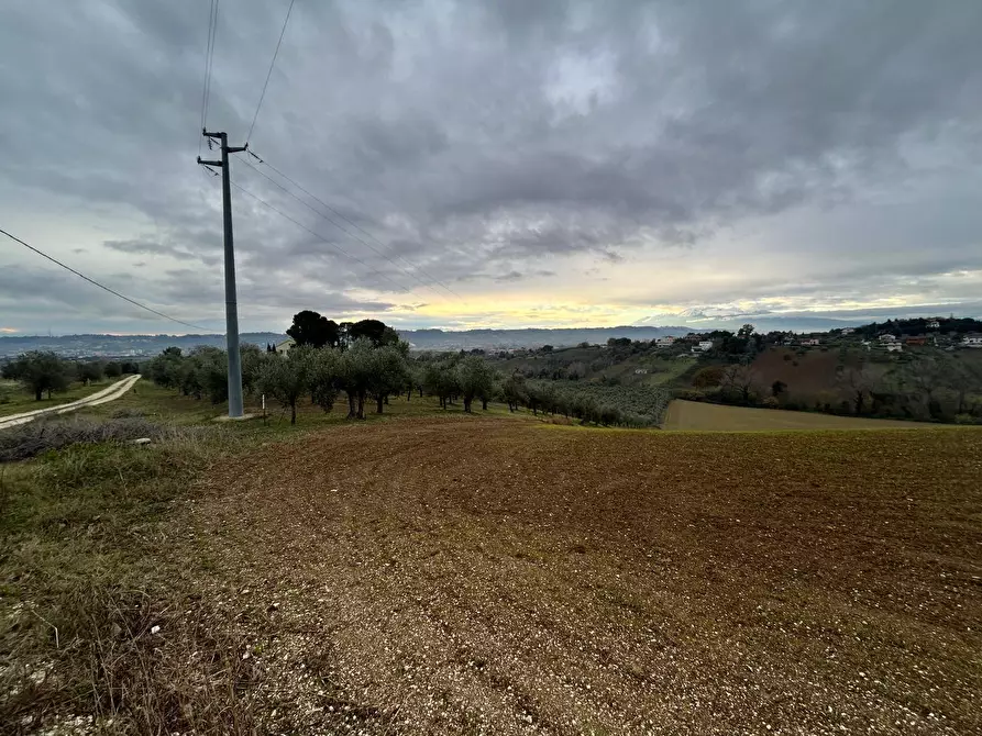 Immagine 1 di Terreno agricolo in vendita  a Spoltore